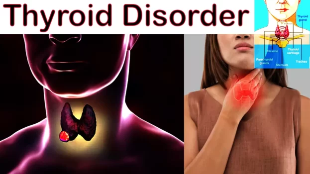 Women's Health Week 2022: How to Recognize a Thyroid Disorder