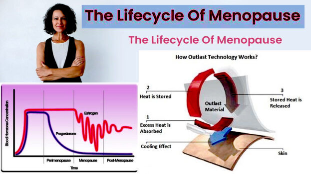 THE LIFECYCLE OF MENOPAUSE