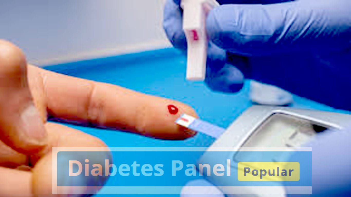 The diabetes test panel