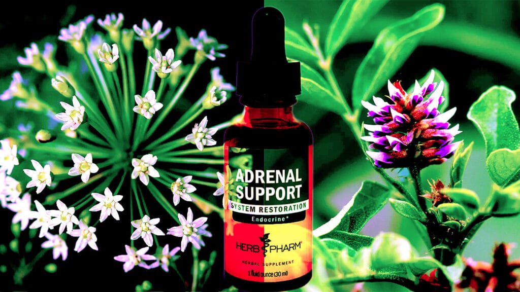 Adrenal Support
