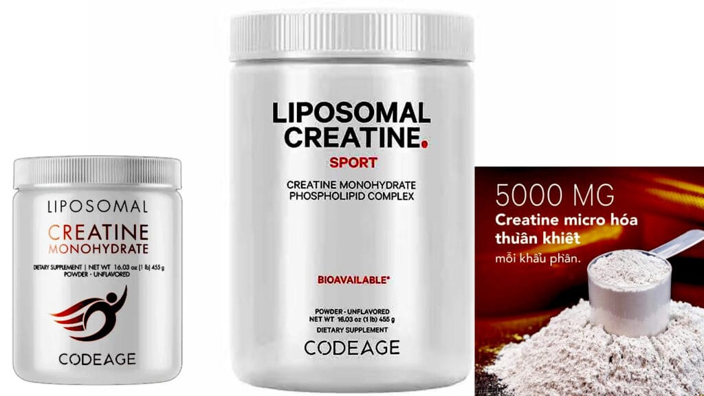 Liposomal Creatine Monohydrate