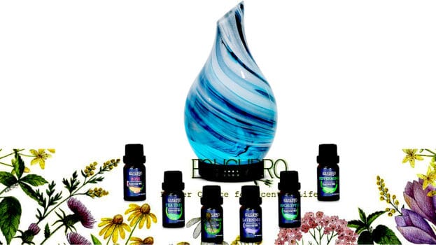 Oil Diffuser & Essential Oils Set