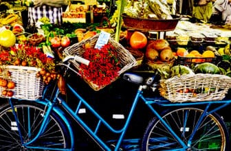 Organic: Your Shortcut to Healthy Food