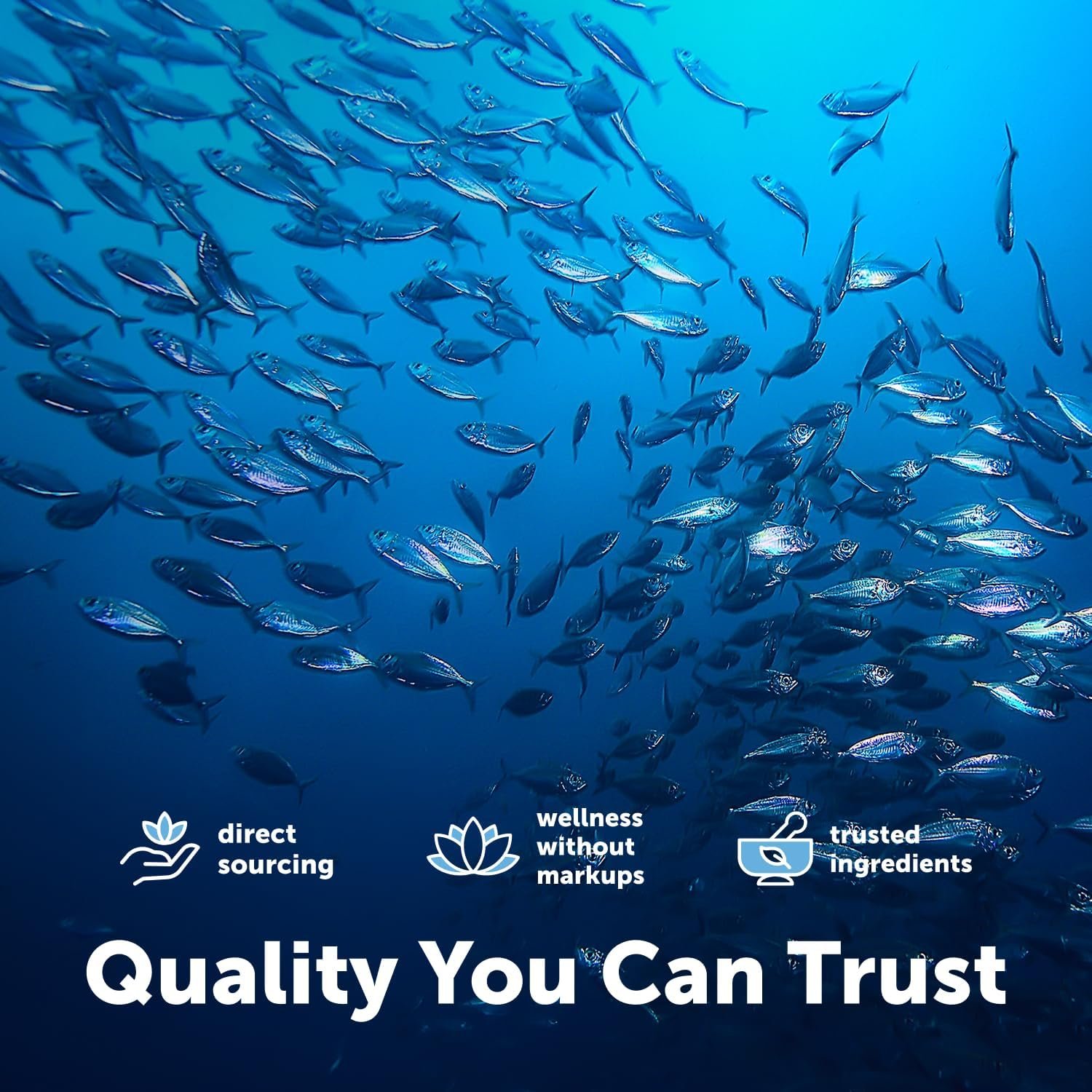 DVH Omega-3 Fish Oil 4,200 mg Per Serving - Image 2