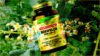 dvh Boswellia Resin Extract, 60 Veg Caps