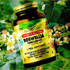 dvh Boswellia Resin Extract, 60 Veg Caps