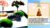 Buddha Stones Buddha Symbol Tree Landscape Meditation Calm Zen Garden Decoration