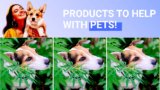 High-quality CBD Products for Pets
